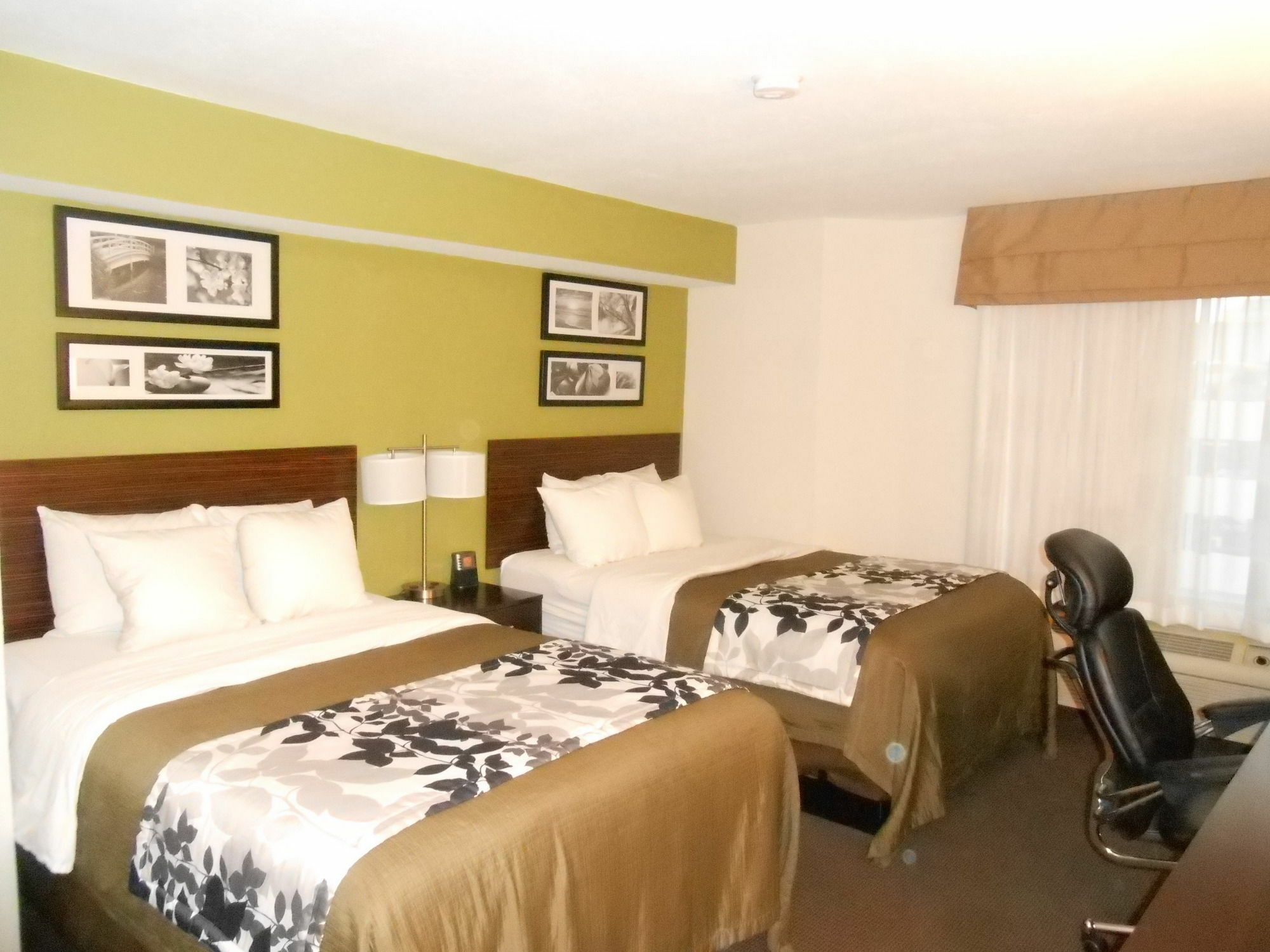 Surestay Plus By Best Western Mesa Superstition Springs Buitenkant foto
