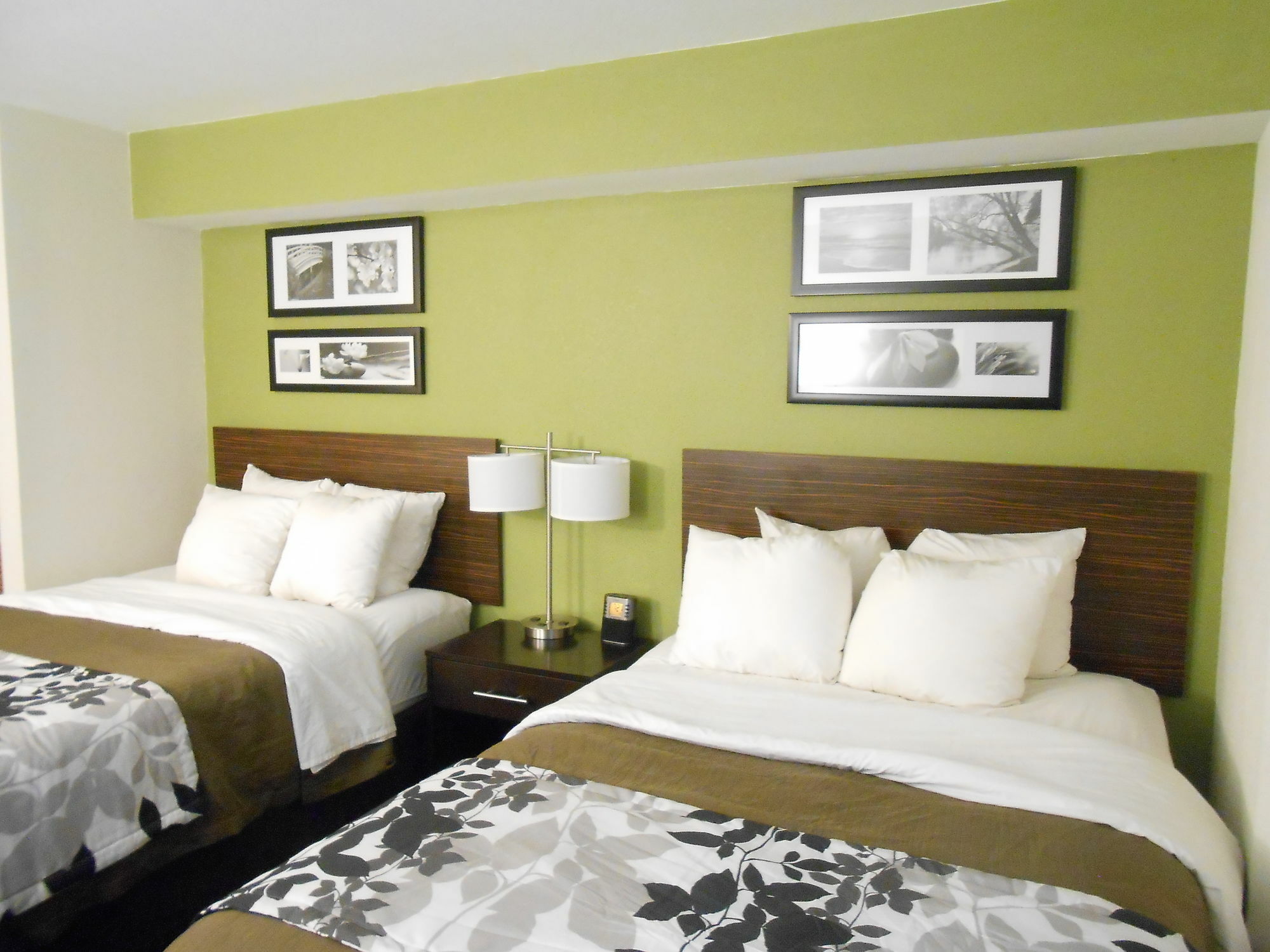 Surestay Plus By Best Western Mesa Superstition Springs Buitenkant foto